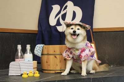 屋内フォトスポット