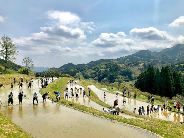 図1 里地里山(大山千枚田)の景観写真(撮影者:牛村展子)