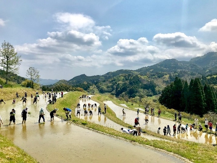 図1 里地里山(大山千枚田)の景観写真(撮影者:牛村展子)