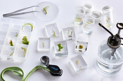 6mkbAw9azjoF3RYp2gwv.jpg?w=940&h=940