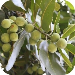 6onWRQ1FqYZLOPdA61k1.jpg?w=940&h=940