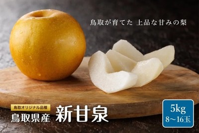 鳥取県産　新甘泉