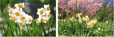 6qCmvAboUqFoKZStpXhu.png?w=940&h=940