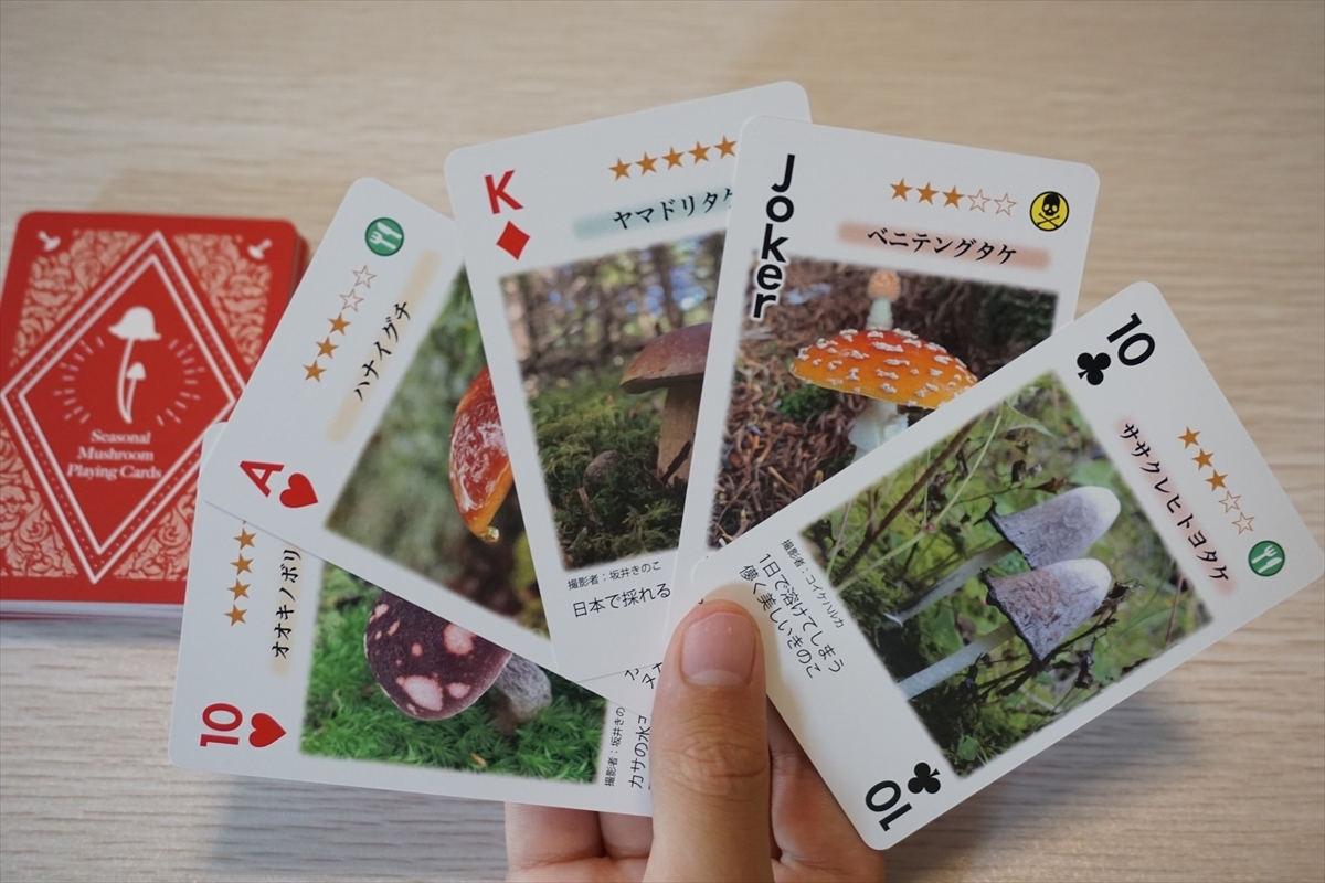 きのこさん専用notconventional ストリングスカート 6qie7WMmfAdGCWcLLkmr.jpg