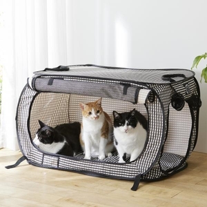 猫壱ポータブル