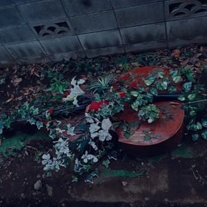 6sfkMUc5gufvWZRF2iYl.jpg?w=940&h=940