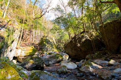 6si075sqAiPOVsBjmLYu.jpg?w=940&h=940