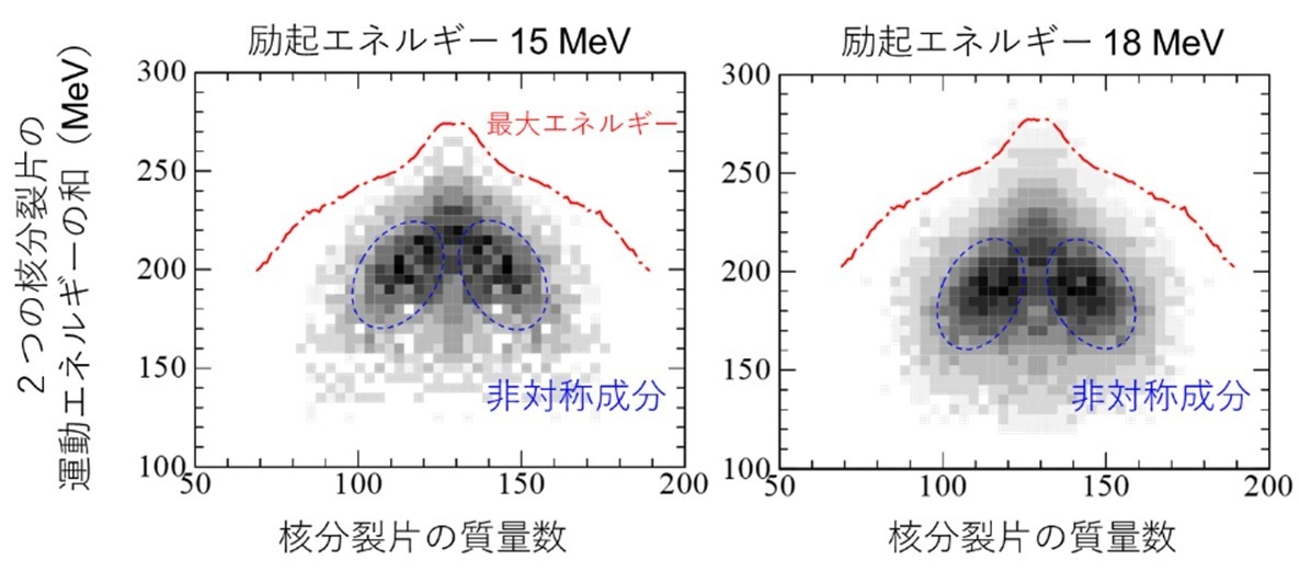 図1 核分裂片の質量数と運動エネルギー面におけるメンデレビウム核分裂片の分布。核分裂片が持てる最大の運動エネルギーも示す。