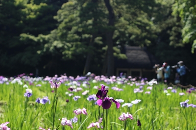 6vLlpKvTpqjsTCg2vg57.jpg?w=940&h=940