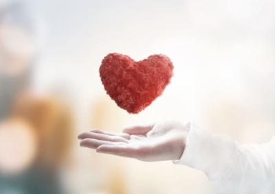 6vO1O4TxIHwLv5dcoI6h.jpg?w=940&h=940