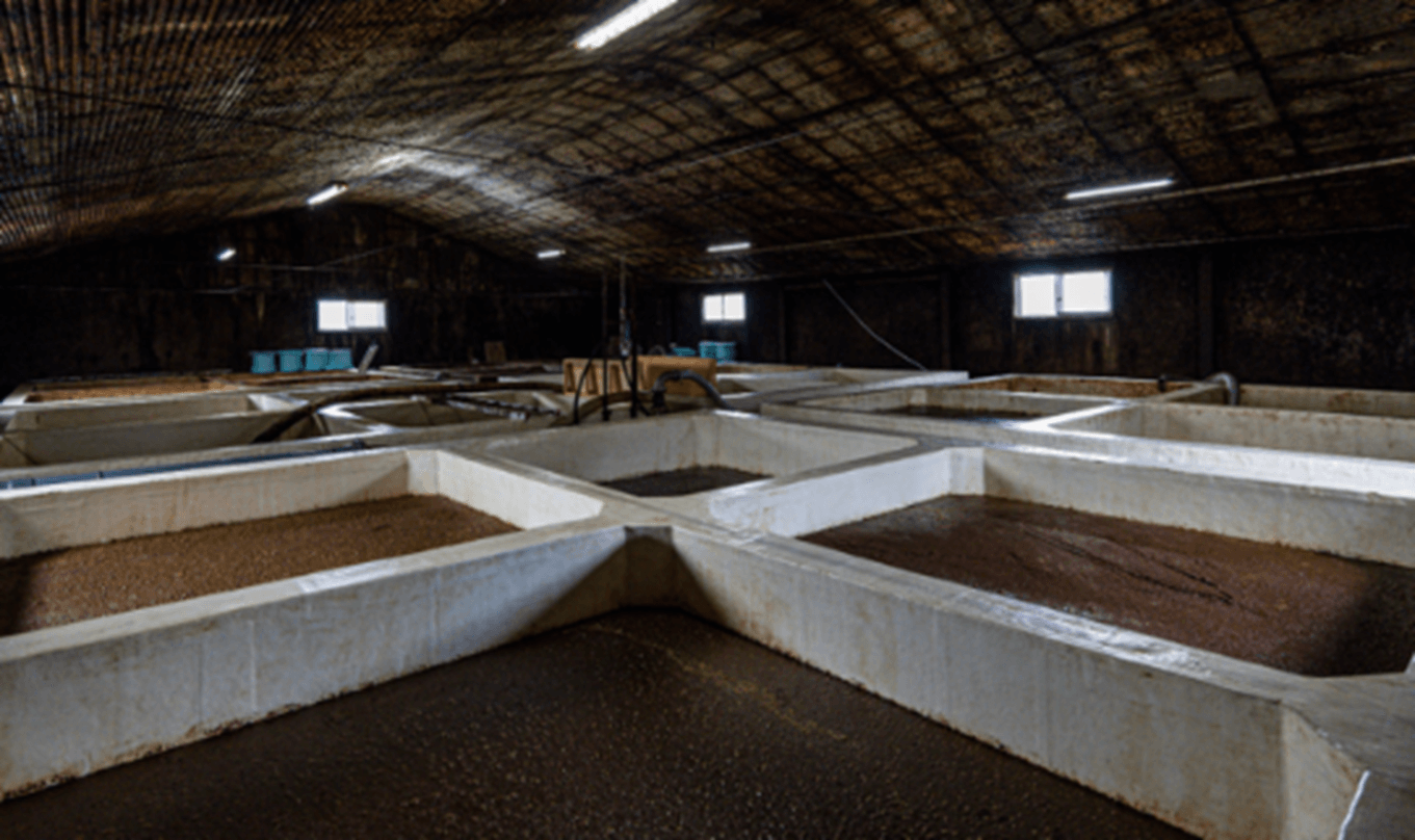 味噌醤油づくりの歴史に触れる「工場見学」