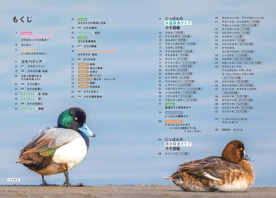 『にっぽんのカモ』もくじ