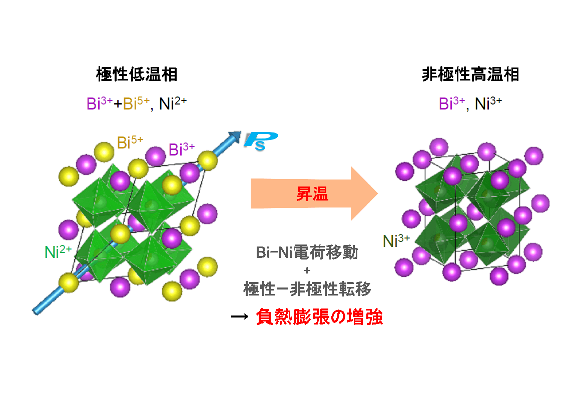 新材料の"温めると縮む"効果、2つのメカニズムの同時発生で高まることを発見　―精密位置決めが必要な工程に対応―