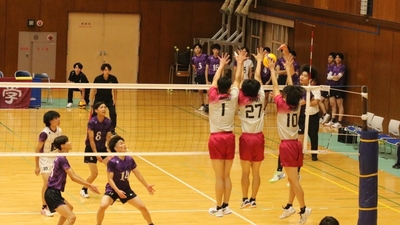 70I93EqDnjDaosxyyyr2.jpg?w=940&h=940