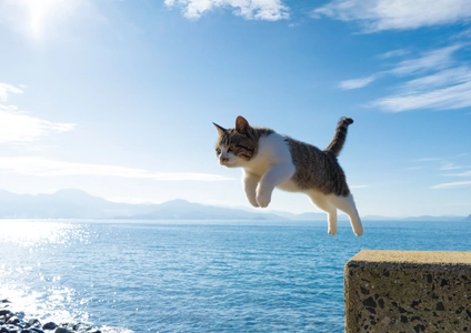 愛知県初開催！写真家 五十嵐 健太の飛び猫10周年記念 「飛び猫写真展」を6月25日から名古屋栄三越で開催