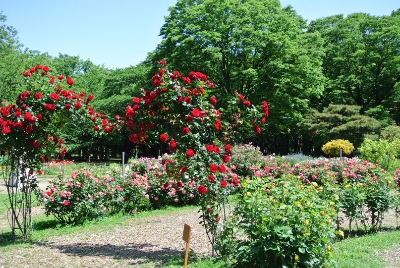 ▲フラワーランドの様子