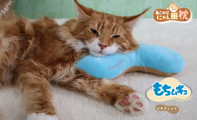 もちムギュ　ピタフィット