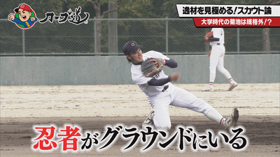 732BGINwJfmESmD6LEYU.png?w=940&h=940