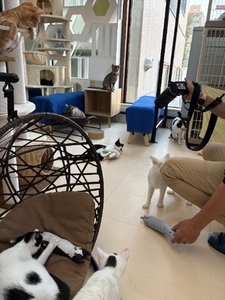 73Sl5LYwH0Rvl4jfRqEX.jpeg?w=940&h=940