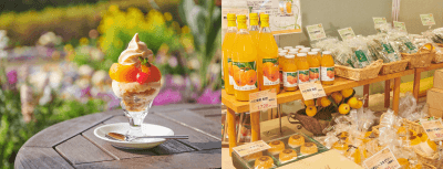 左:びわバフェ 1,800円(税込)/右:枇杷倶楽部商品