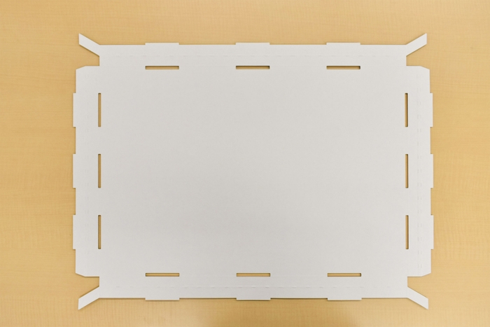 Aタイプのディスポーザブルトレイ・組立前