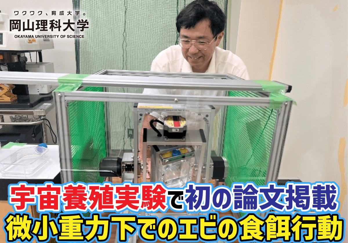 【岡山理科大学】宇宙養殖実験で初の論文掲載　微小重力下でのエビの食餌行動