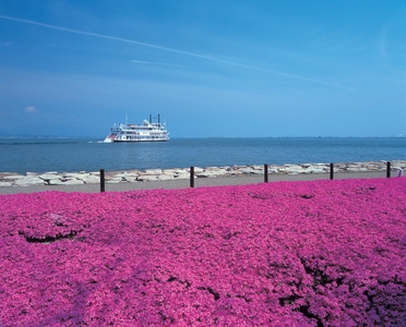 75JhgoiVYAXsgaWPPfxl.jpg?w=940&h=940