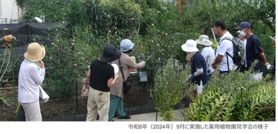 近畿大学薬学部薬用植物園で「朝の植物園散歩　2025」を開催　猛暑を避けた朝の時間帯に、日中では見られない植物を観察