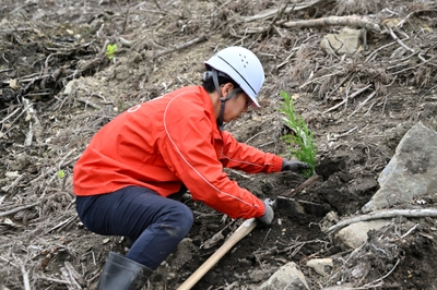 76laCC6tkcCWpsA4YGln.JPG?w=940&h=940