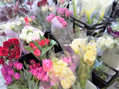 77Pb5W0JpxpUXaikAAjl.jpg?w=940&h=940