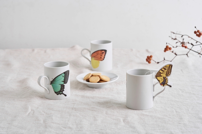 バタフライギフトセット 1