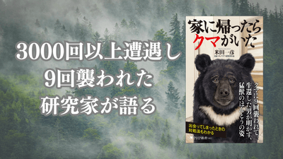 78eglIHSQSNFnyDbu4NU.png?w=940&h=940