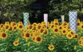 79APlWYrqKyUIRCNwWXe.jpg?w=940&h=940