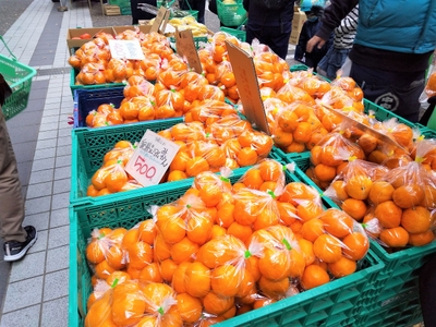 7Cs7IPLR3k3Dt1TWKKKE.jpg?w=940&h=940