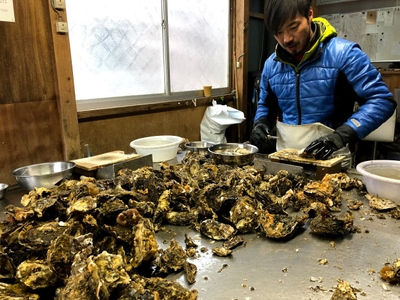 7DSsSGQiBOpNG3VK81ZB.jpg?w=940&h=940