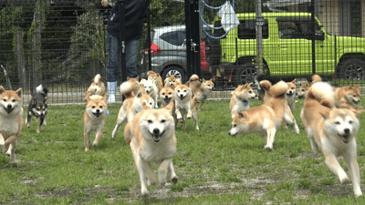 7E2j2zRUtdMHiKNmFJNv.png?w=940&h=940