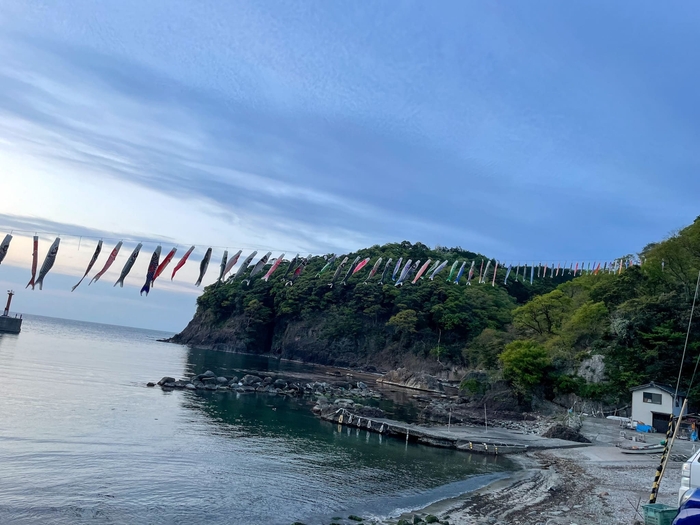 鎧地区の海を泳ぐこいのぼり(ゴールデンウイーク)