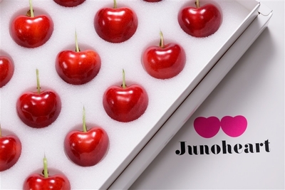 青森県産さくらんぼ「ジュノハート」