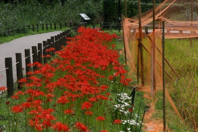 7FWQ7raD54cT8FbtrPs3.JPG?w=940&h=940