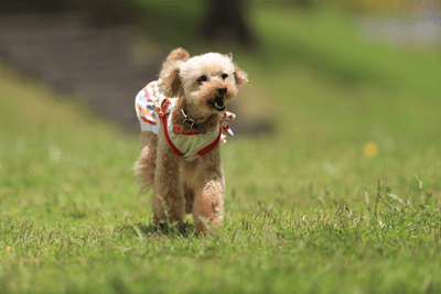 7GBuuLAVrgivqStlkeSl.png?w=940&h=940