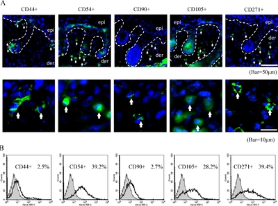 7HHMqaOSVv5mpHlo7A3e.jpg?w=940&h=940