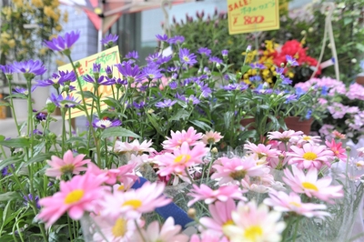 7HkySKLGq4O5IklXZSK5.jpg?w=940&h=940