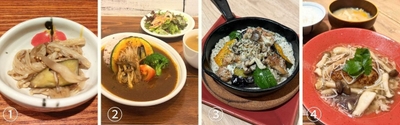 ①博多ぶなしめじ、えのきの牡蠣醤油和え ※定食小鉢で提供 （みのる食堂広エキエ広島）②旬野菜のみのりカレー ～博多ぶなしめじとえのき添え～ 1,089円 （みのりカフェ福岡パルコ）③国産チキンと産直旬野菜と たっぷりきのこのオーブン焼き定食 ～博多ぶなしめじとえのきのきのこソース～ 1,694円 （みのりカフェアミュプラザ博多）④くまもと黒毛和牛「和王」とりんどうポークの 自家製ハンバーグ定食 ～福岡県産きのこの和風あんかけ～ 1,969円 （みのる食堂アミュプラザくまもと）