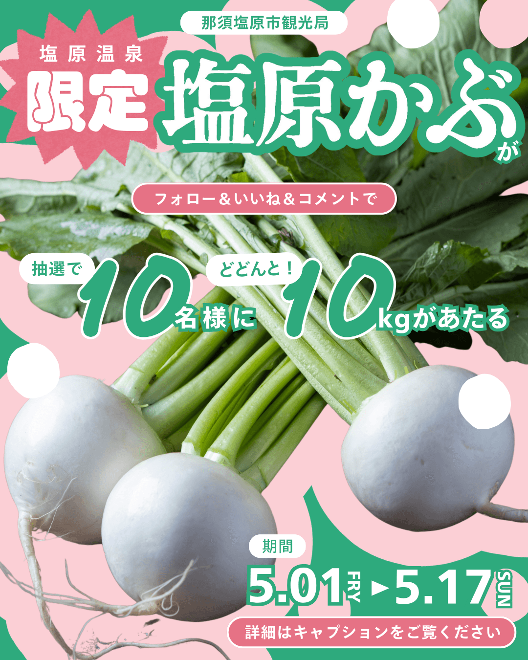 【SNSキャンペーン】総計100kg！ 那須塩原ブランド「塩原かぶ」10kgを10名様にプレゼント！