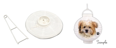 7JJu04xvs4fUzjgAGjSw.jpg?w=940&h=940