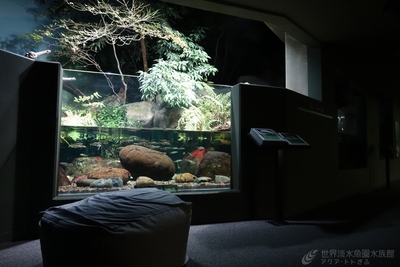 7JPPOCygbPYjWPjbdAav.jpg?w=940&h=940