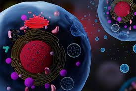 7JbTFNFiZYzNJH2CDN1U.jpg?w=940&h=940