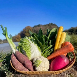 7KEcSyUlXhxVyn8YpHeM.jpg?w=940&h=940