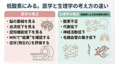 7KKZHiKCcw7aXHc3Mmq2.png?w=940&h=940