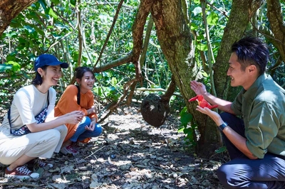 7KPo4rDlU6bbxvGYMzNM.jpg?w=940&h=940